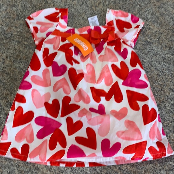 Gymboree Other - Gymboree dress size 12 to 18 months